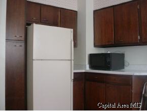 1525 West Governor Street Springfield, IL 62704 - Photo 4 of 9 Gallery Image 4