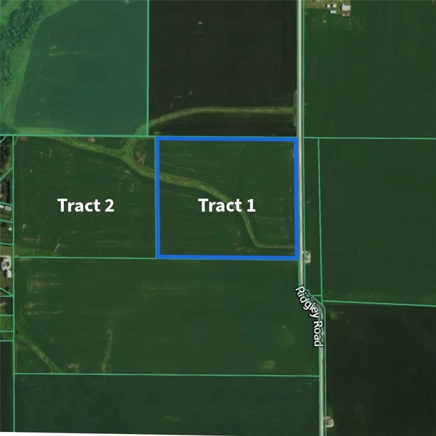 1 Ridgley Road Dalton City, IL 61925 - Photo 5 of 5