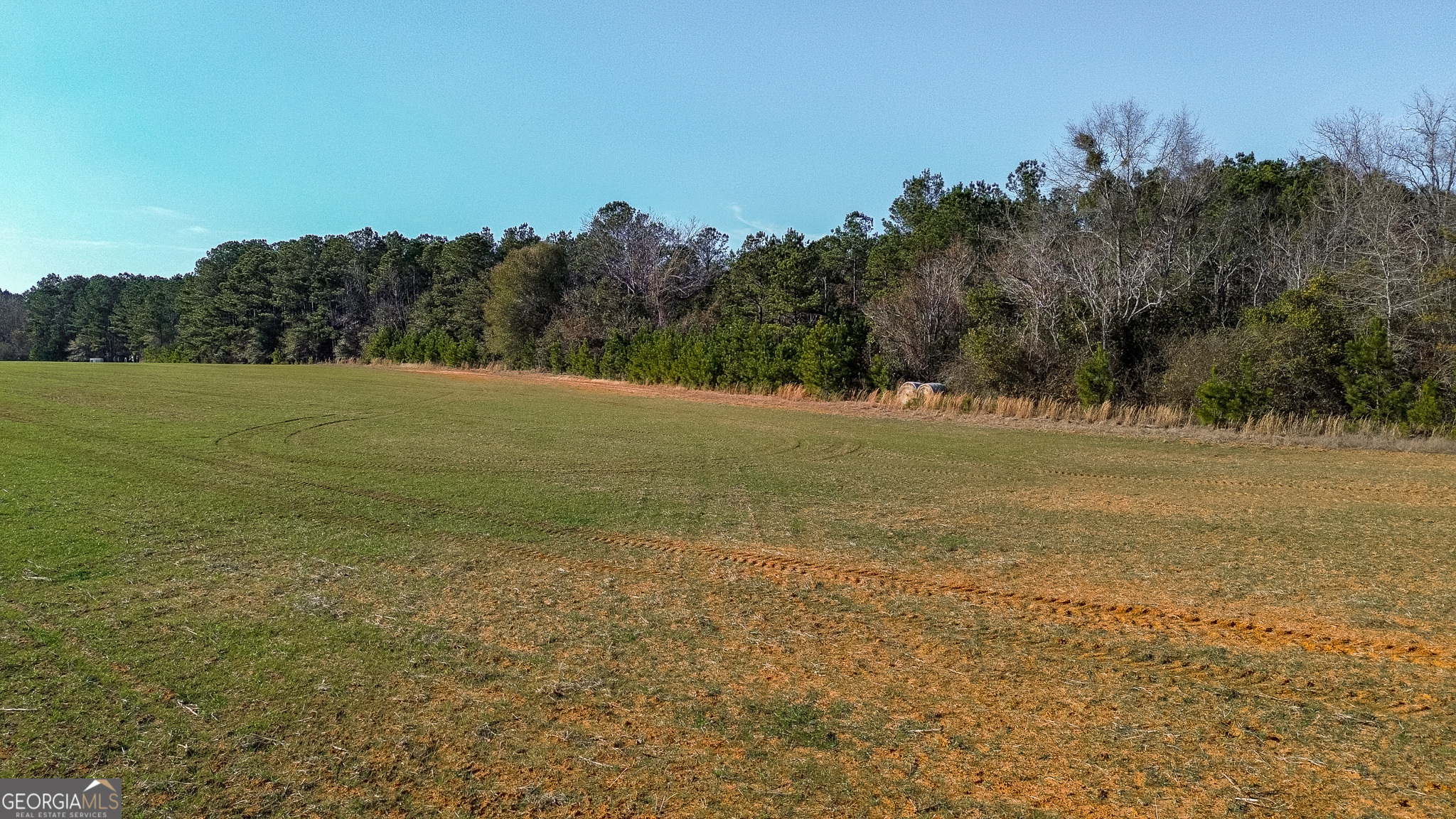 721 Thrasher Road Plains, GA 31780 - Photo 25 of 27 a view of a field with an ocean
