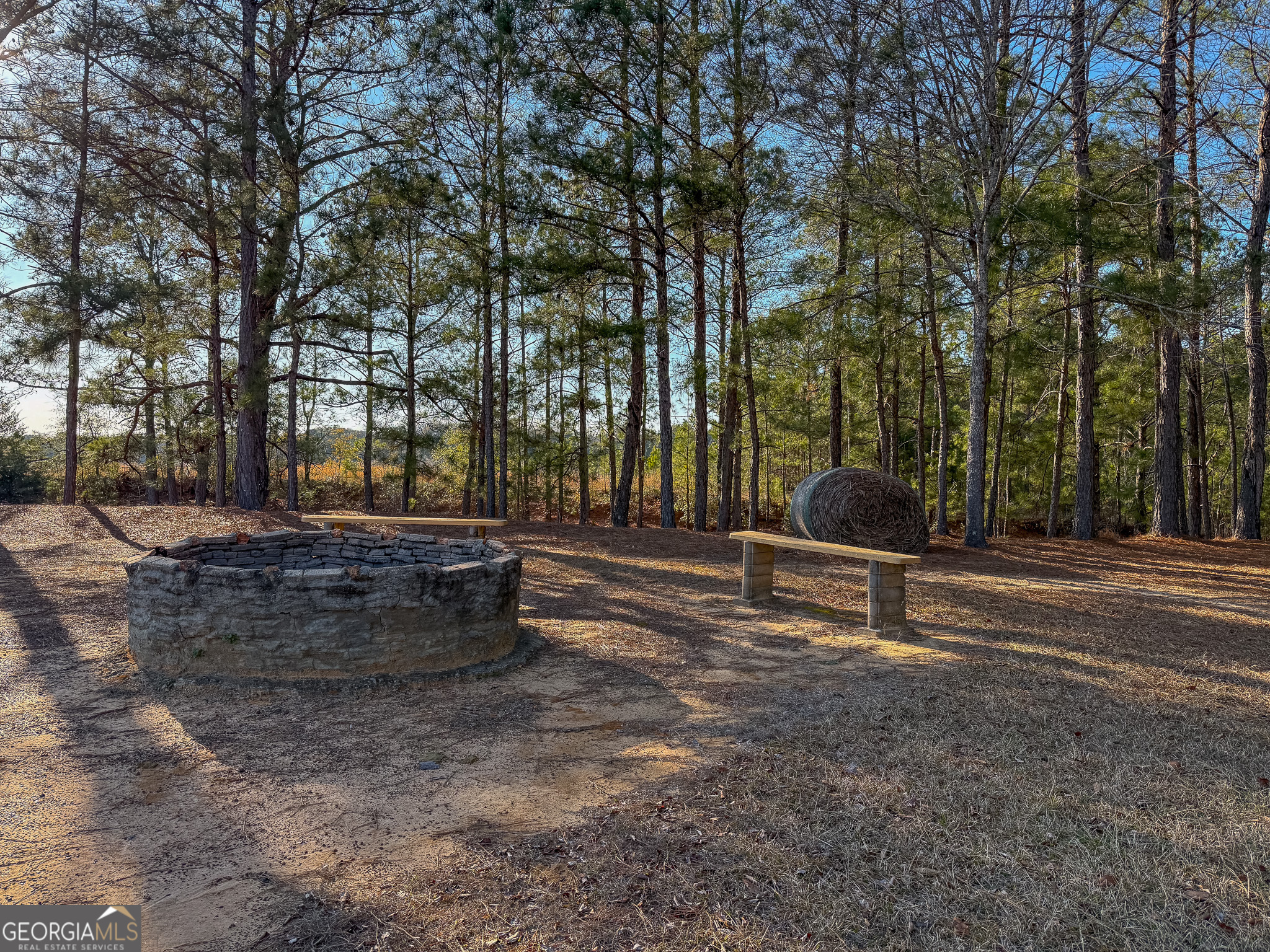 721 Thrasher Road Plains, GA 31780 - Photo 26 of 27 a view of park with tree