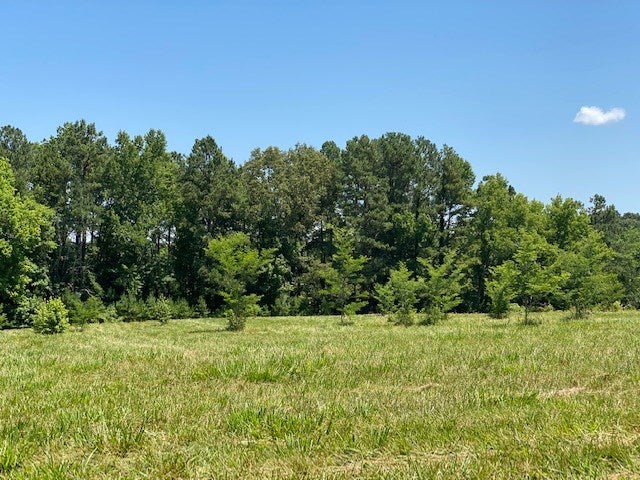 637 Chaptico Road, Unit A South Hill, VA 23970 - Photo 30 of 52 Gallery Image 30