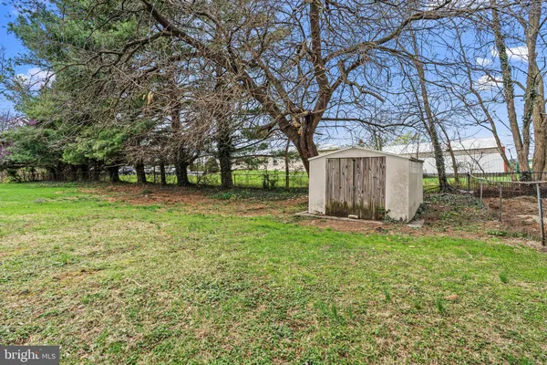 a view of a backyard with large trees