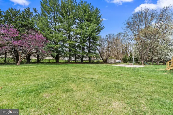 a view of garden view