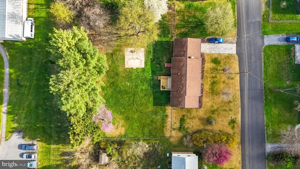 a backyard of a house with plants and large trees