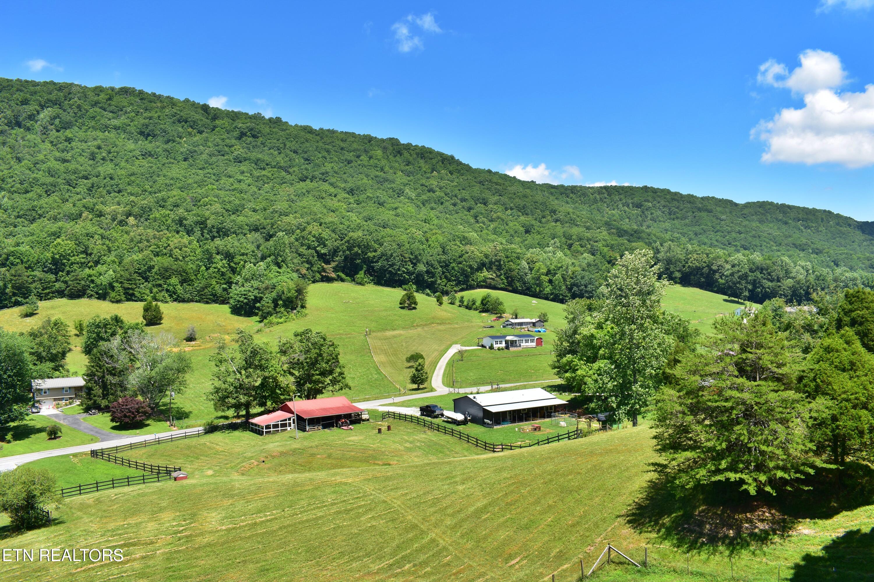 1319 Ideal Valley Road Spring City, TN 37381 - Photo 31 of 49 DSC_0722