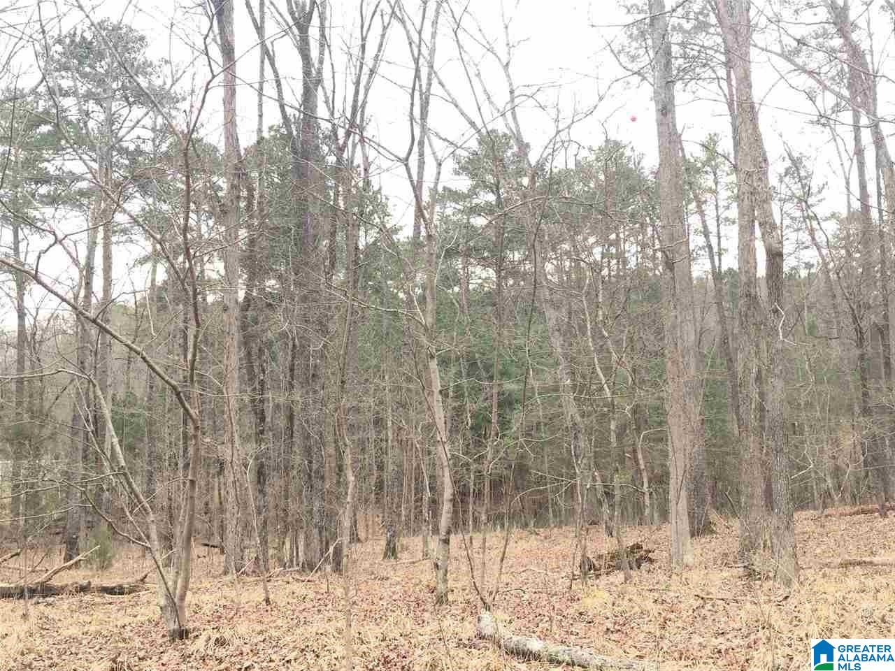 7465 Rodgers Road Southwest Leeds, AL 35094 - Photo 13 of 25