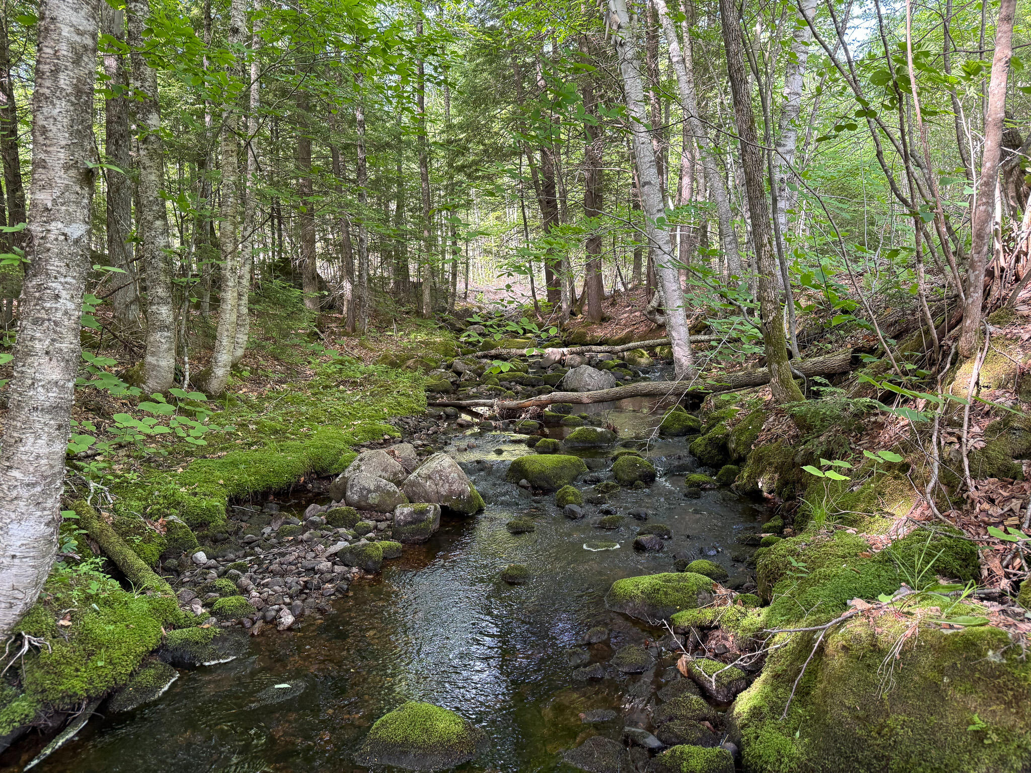 10 Map Road Peru, ME 04290 - Photo 8 of 21