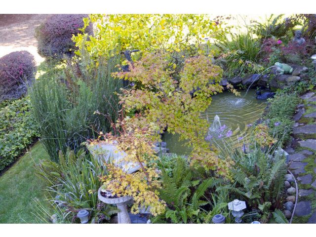 361 Eagle Trace Drive Half Moon Bay, CA 94019 - Photo 25 of 25 a view of a lake with a tree