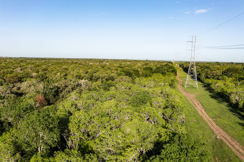 Tbd Anchor Ranch Loop Flatonia, TX 78941 - Photo 6 of 15 a view of an outdoor space and a lake view