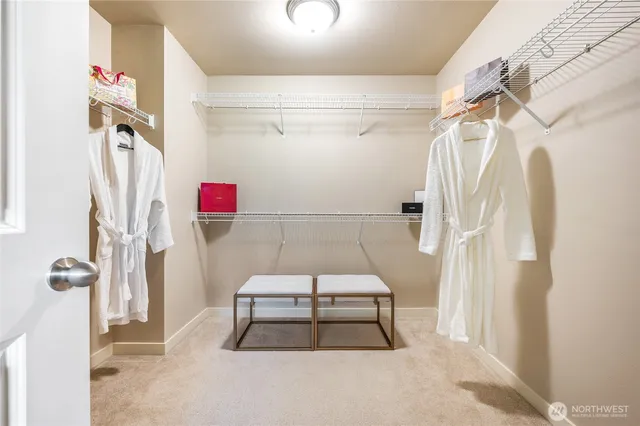 a bathroom with a shower and a sink