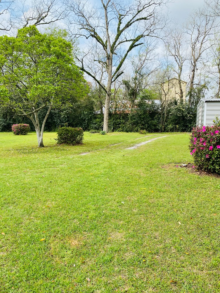 102 South Johnson Street Samson, AL 36477 - Photo 12 of 13 Gallery Image 12