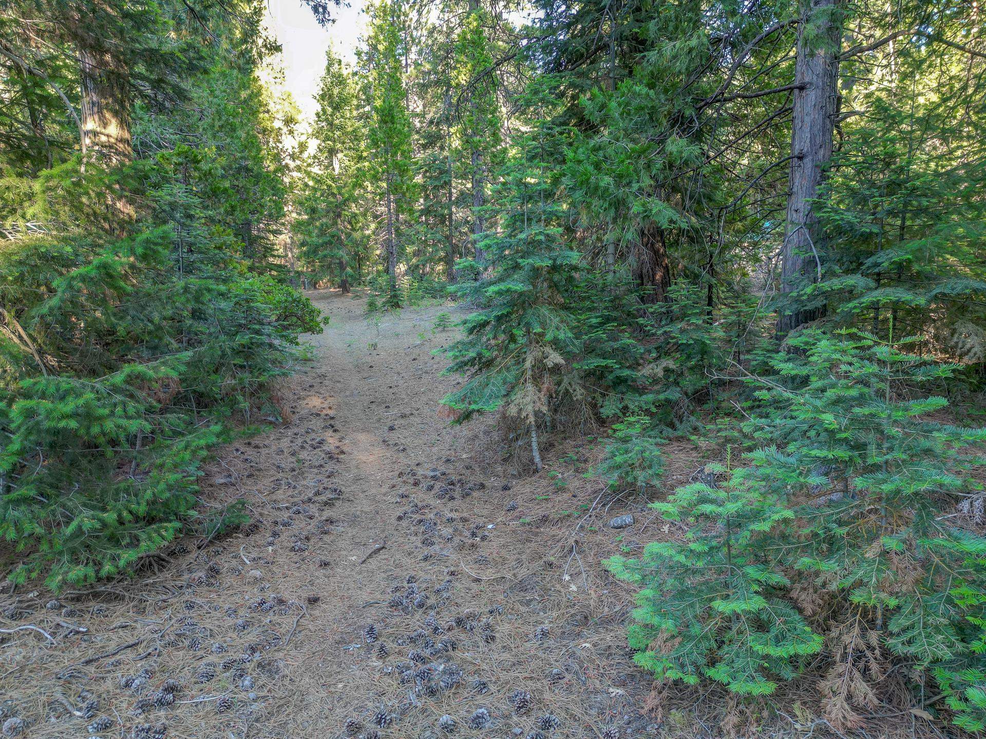 7729 Sugar Pine Road Weed, CA 96094 - Photo 11 of 26 Gallery Image 11