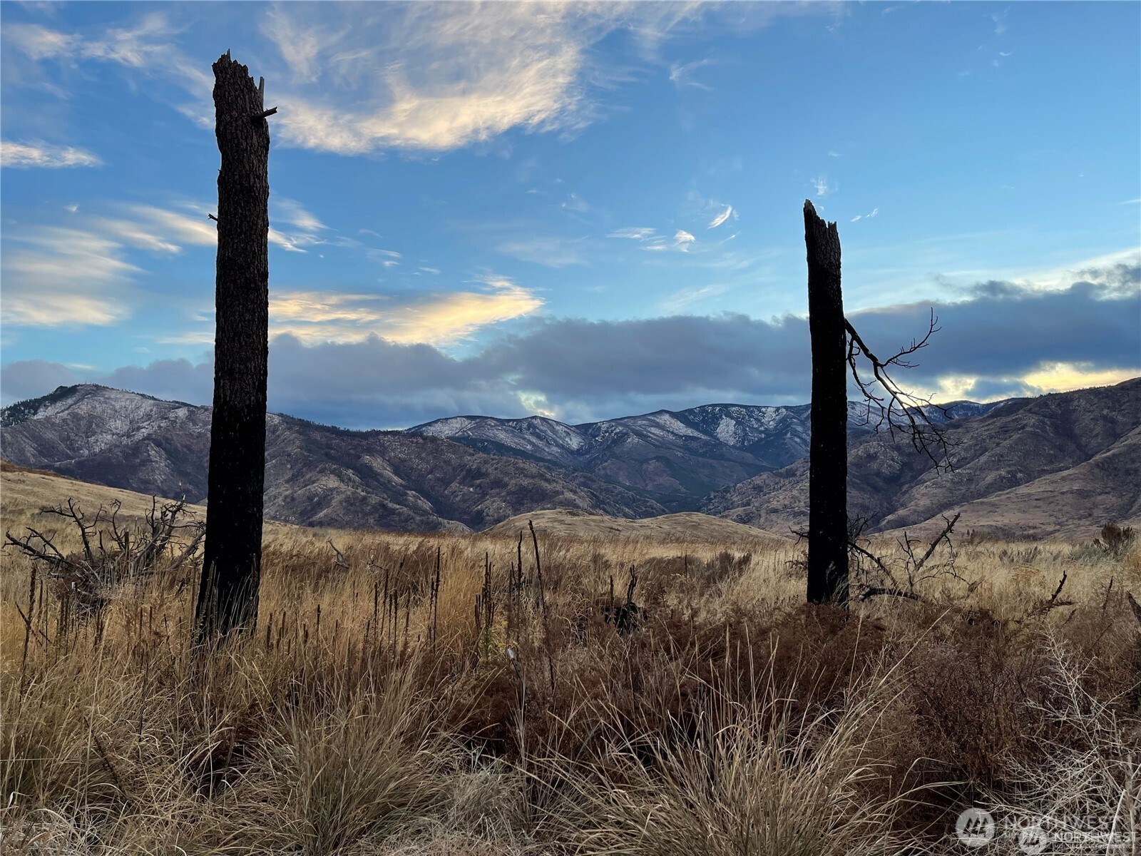 2-xx Buckhorn Mountain Road Pateros, WA 98846 - Photo 3 of 5 a view of a yard with a tree