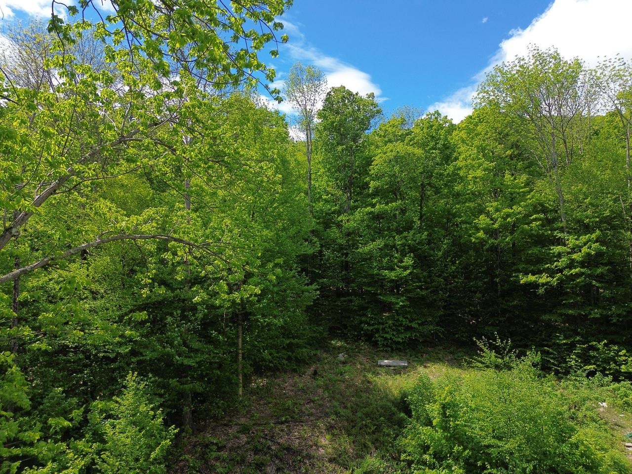 197 Sugar Ledge Road, Unit 4 Warren, VT 05674 - Photo 5 of 17