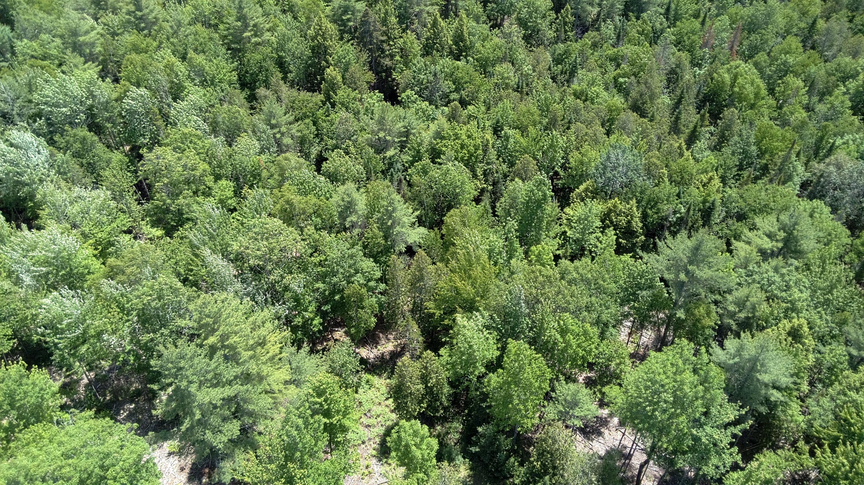 5 Fickett Road Etna, ME 04434 - Photo 18 of 23
