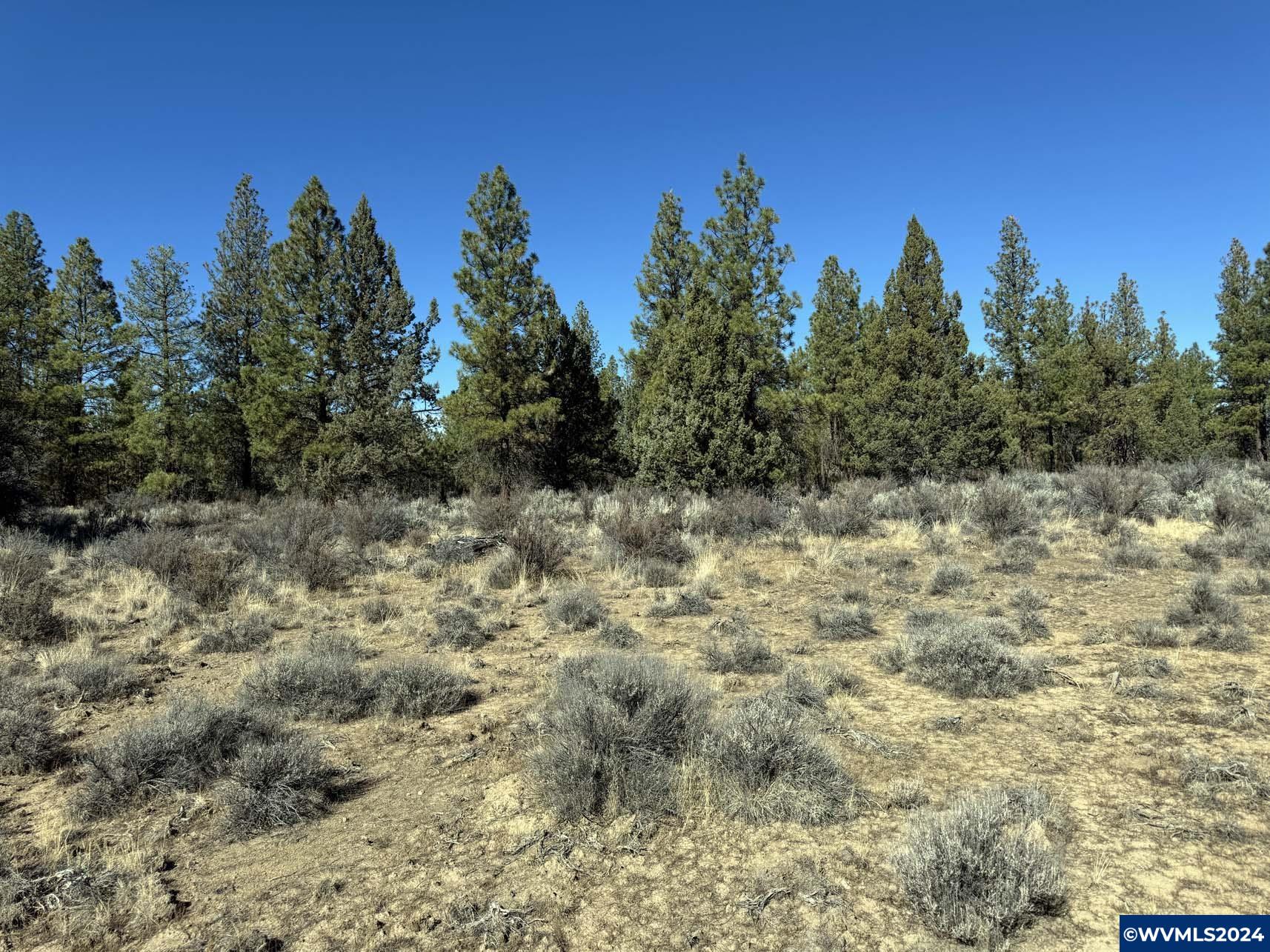 600 Oregon Pines Road Chiloquin, OR 97624 - Photo 34 of 49