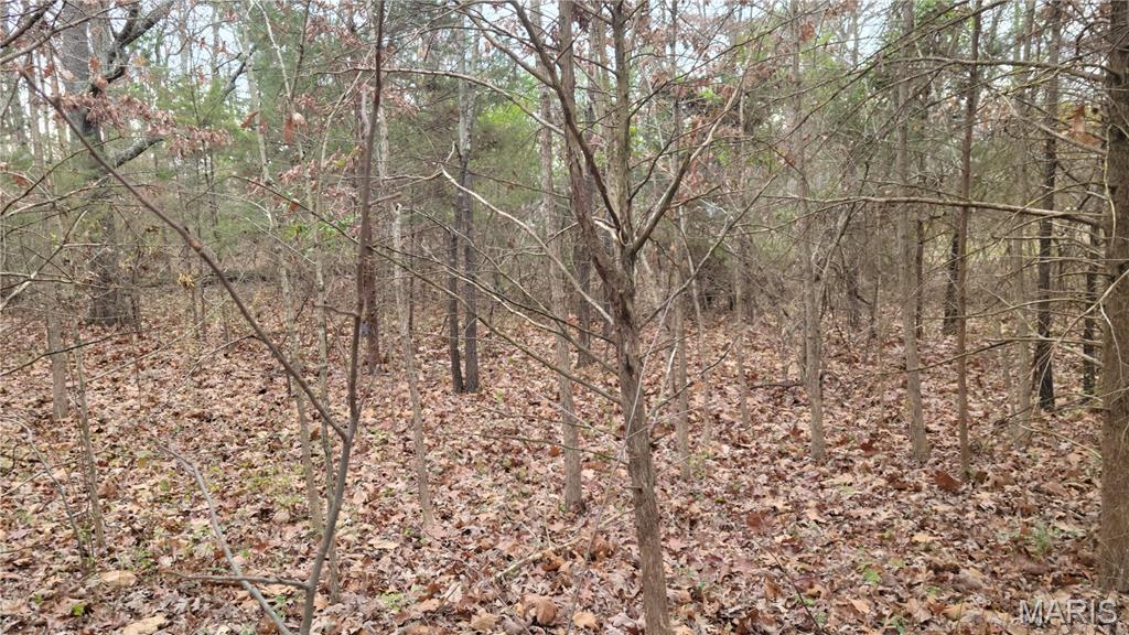 339 Oak Road Cuba, MO 65453 - Photo 2 of 9