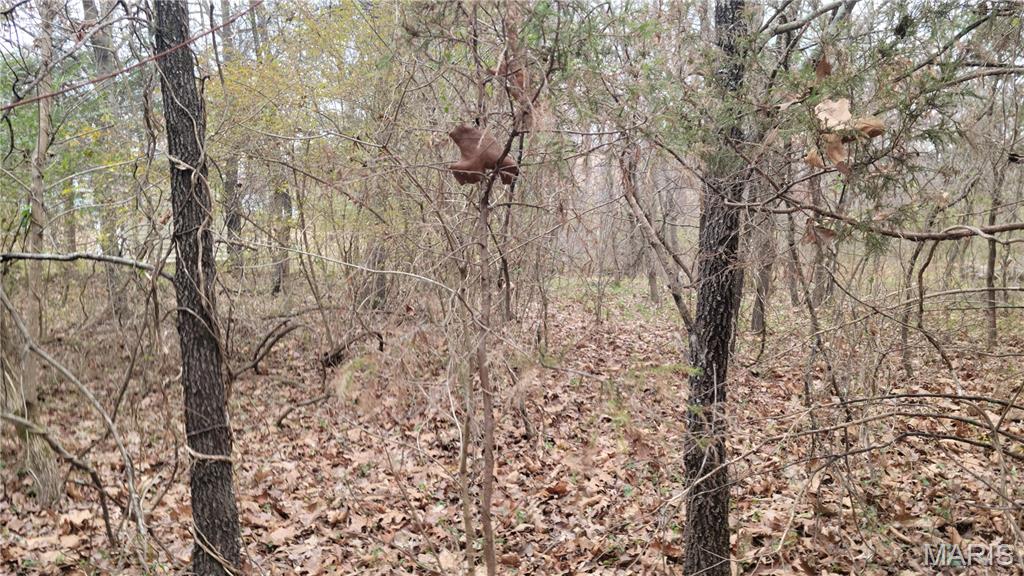 339 Oak Road Cuba, MO 65453 - Photo 3 of 9