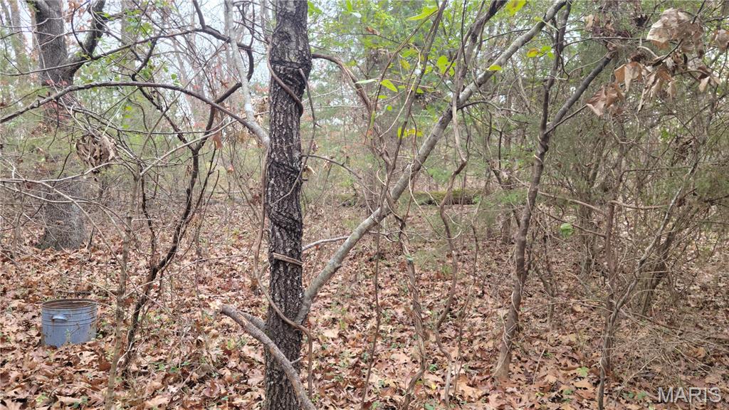 339 Oak Road Cuba, MO 65453 - Photo 4 of 9