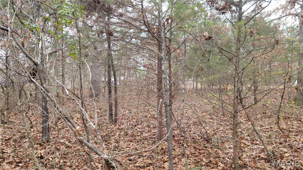 339 Oak Road Cuba, MO 65453 - Photo 5 of 9