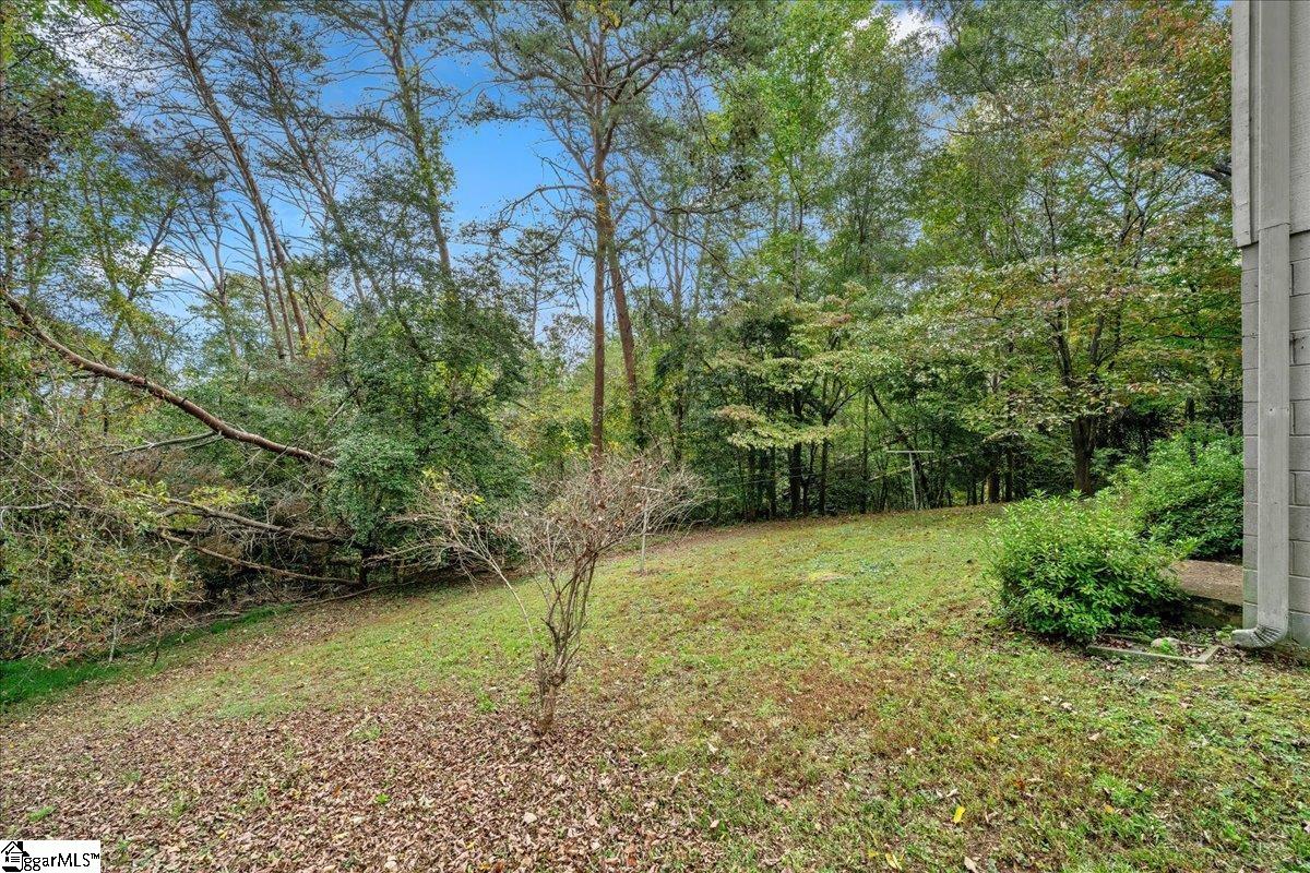 163-b D B D Johnston Road Central, SC 29630 - Photo 38 of 48