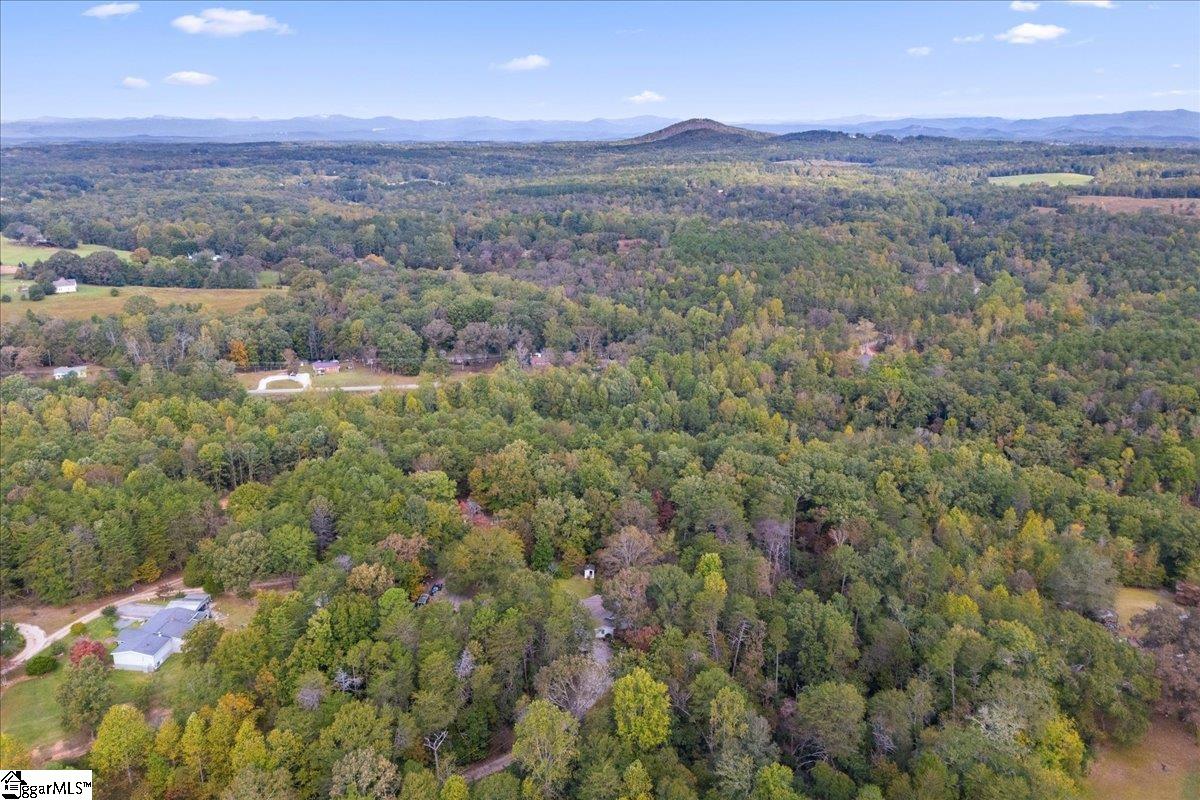 163-b D B D Johnston Road Central, SC 29630 - Photo 43 of 48