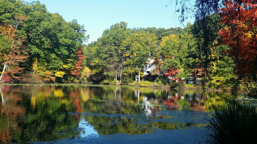 557 Dutton Road, Unit 3 Sudbury, MA 01776 - Photo 1 of 13 a view of lake