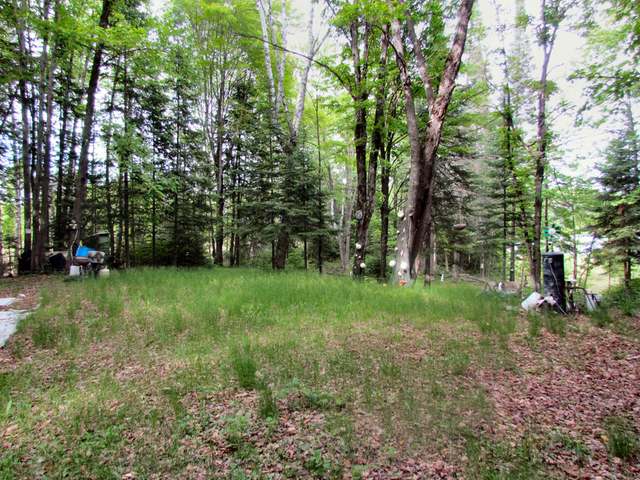 Lot 3 Ed's Lake Road Crandon, WI 54520 - Photo 14 of 20 Gallery Image 14
