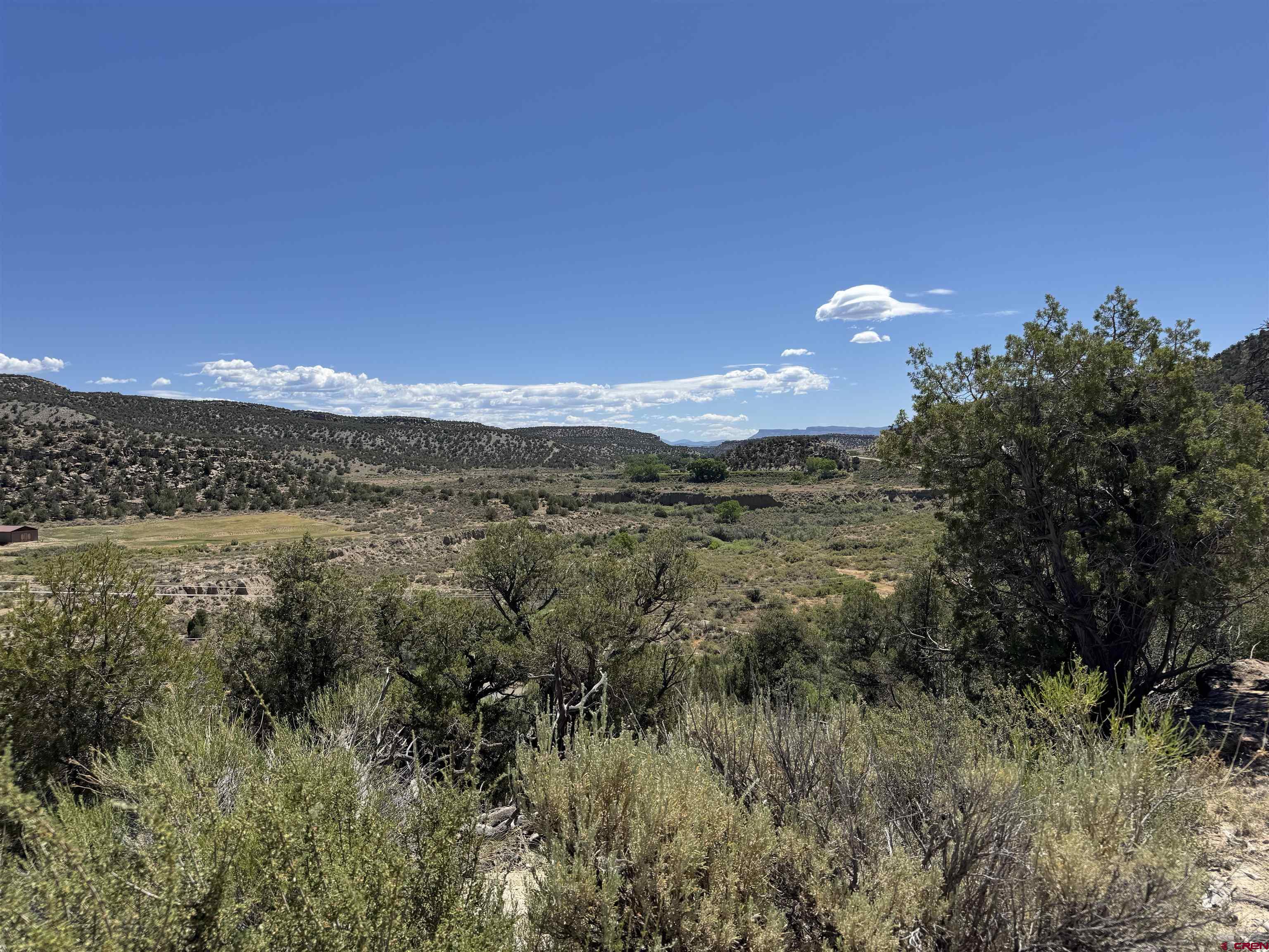 Tbd Rd G Cortez, CO 81321 - Photo 1 of 9 a view of a lake in middle of the forest