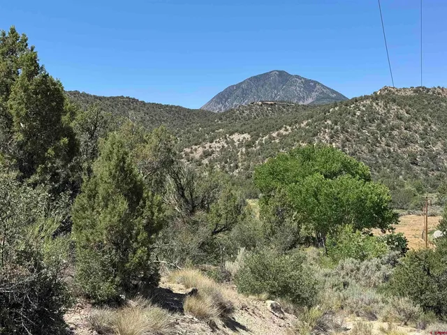 a view of a large tree in a field