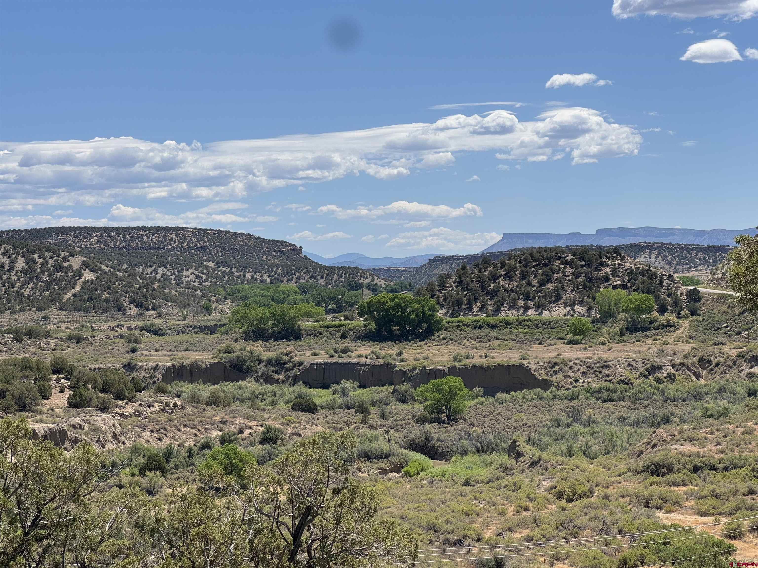 Tbd Rd G Cortez, CO 81321 - Photo 6 of 9 a view of a big yard with lots of bushes
