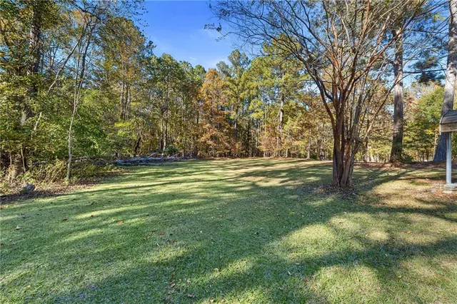 a view of yard with tree and green space