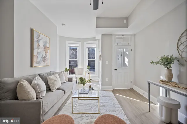 a living room with furniture and a potted plant