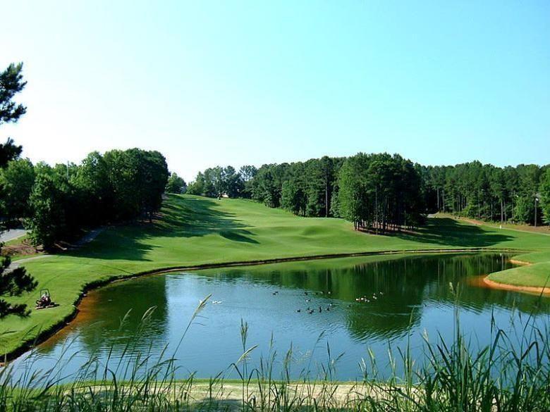 111 Stonegate Lane Canton, GA 30114 - Photo 27 of 30 a view of a lake with green field