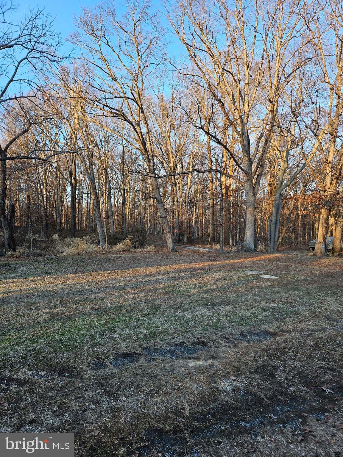 7204 Webster Lane Fort Washington, MD 20744 - Photo 2 of 27