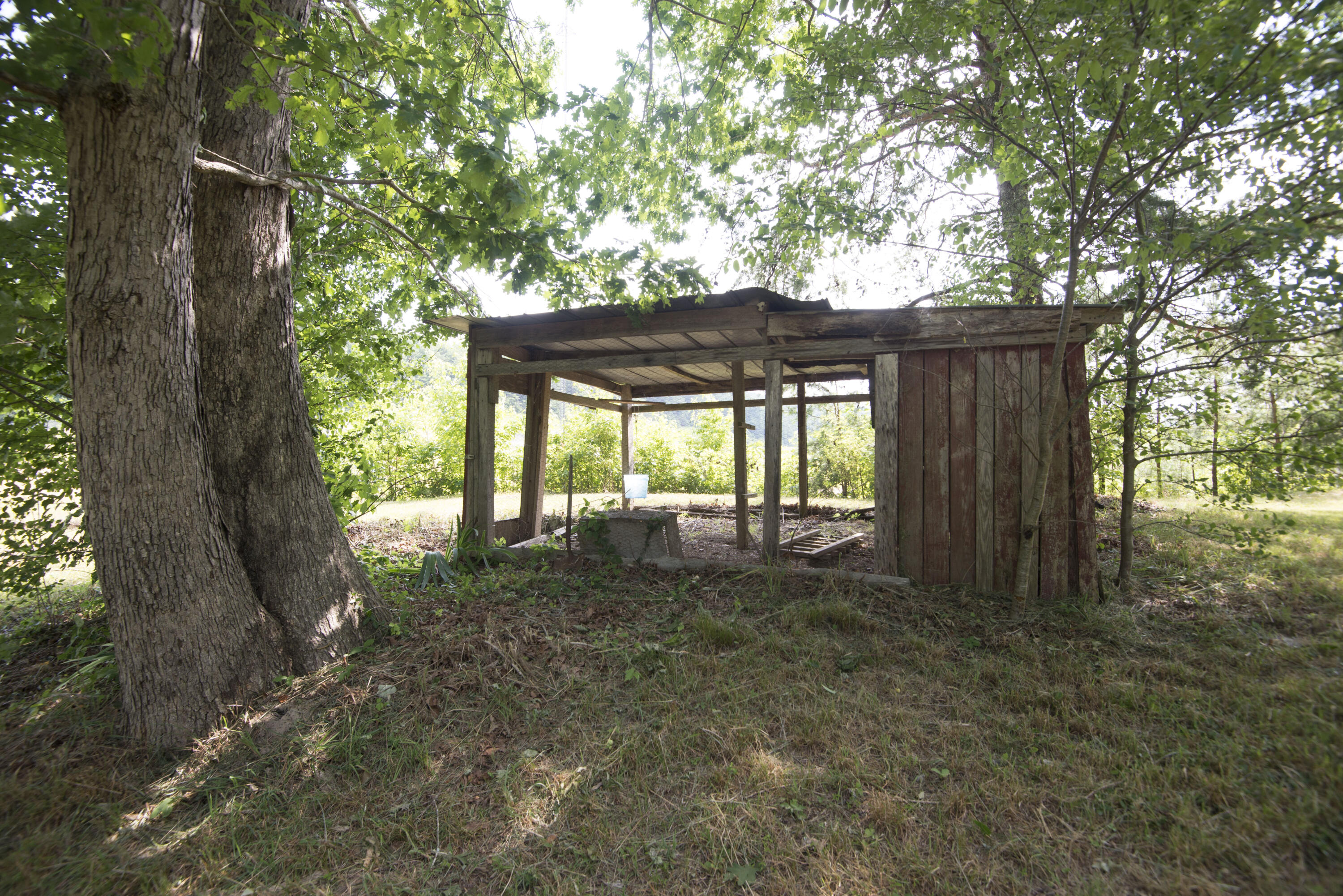 111 Melissa Lane Rising Fawn, GA 30738 - Photo 51 of 72 Chicken coop