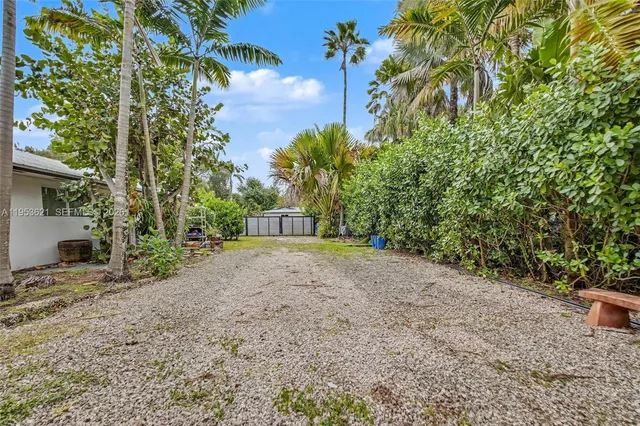 a view of a yard with plants and trees