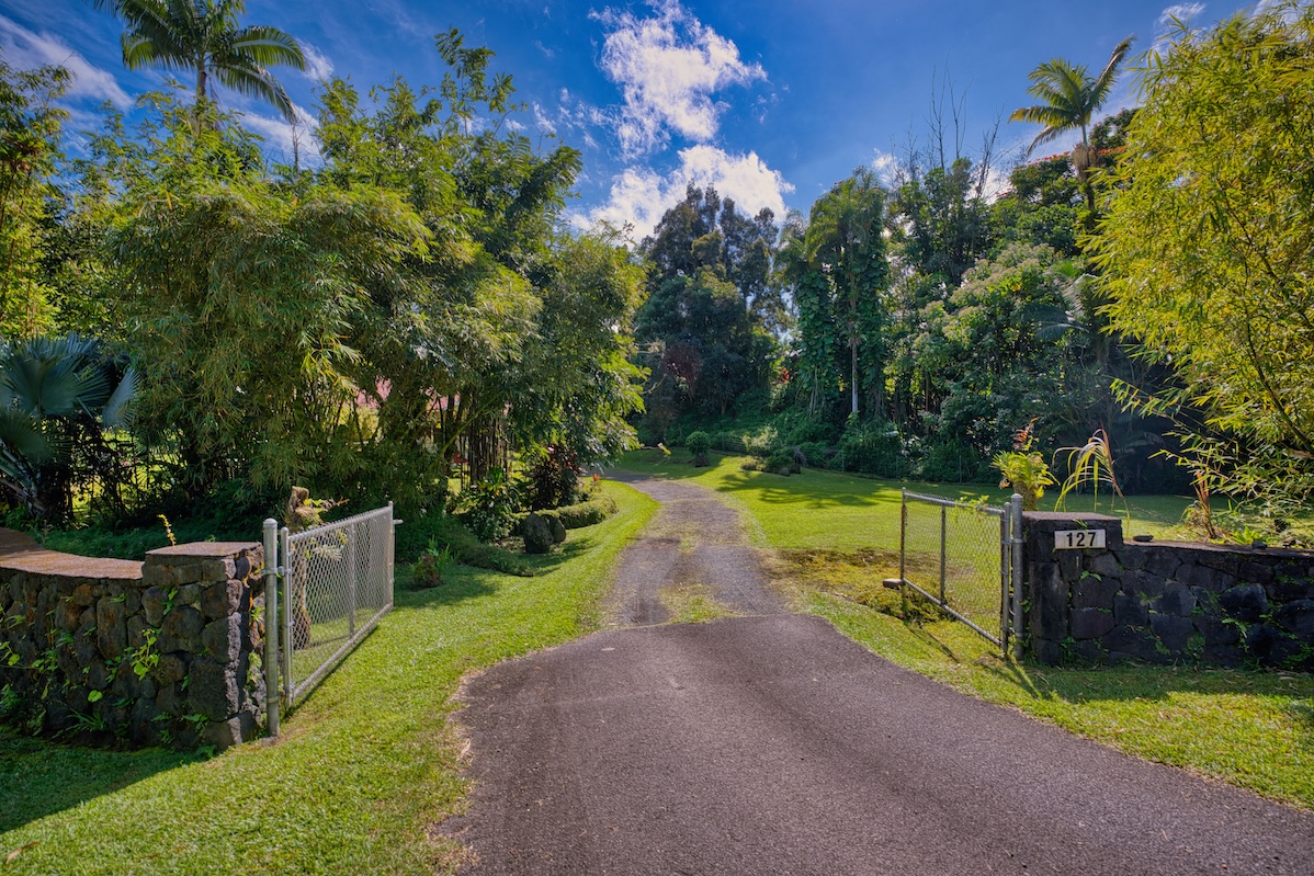 127 Opio Road Hilo, HI 96720 - Photo 18 of 21 a view of a park with large trees