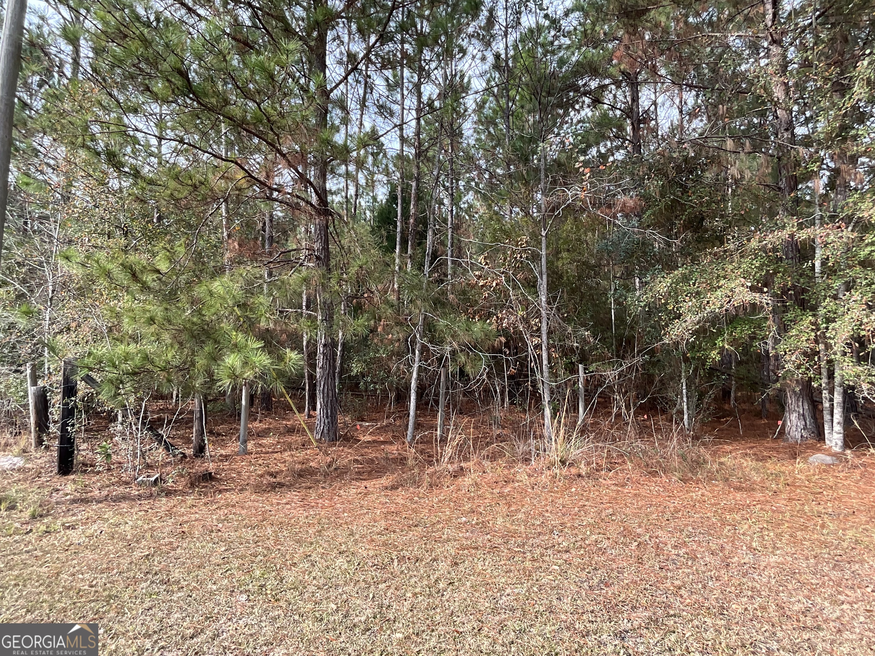 3796 Morgan Road Waycross, GA 31503 - Photo 14 of 17