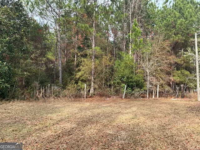 a view of a yard with a tree