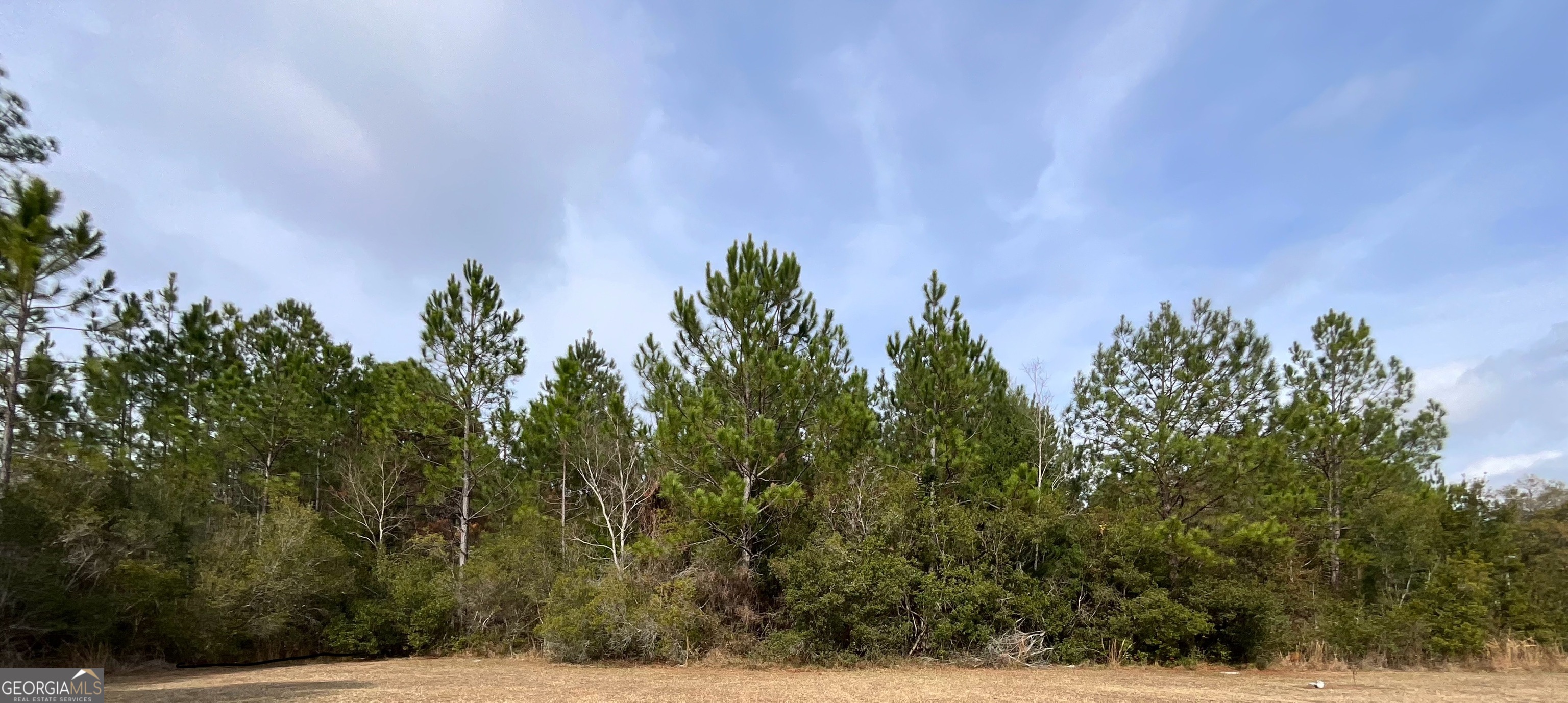 3796 Morgan Road Waycross, GA 31503 - Photo 17 of 17