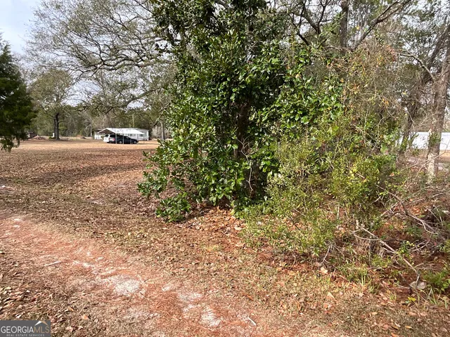 a view of dirt yard with a trees