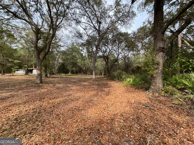 a view of a yard with plants and trees