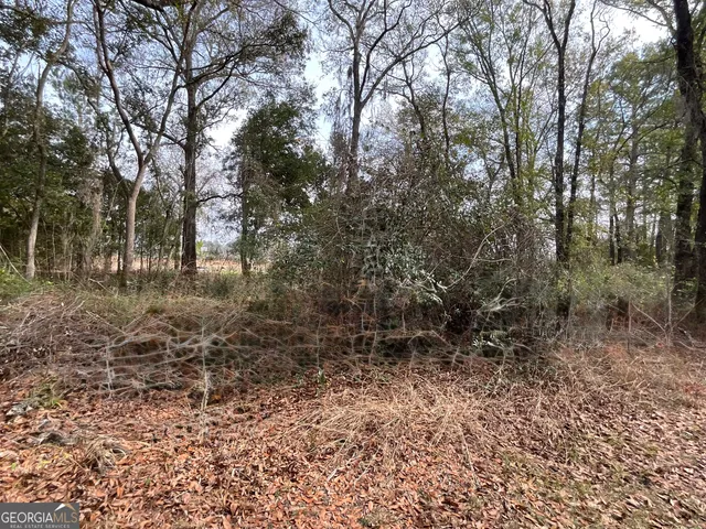 a view of dirt yard with a trees