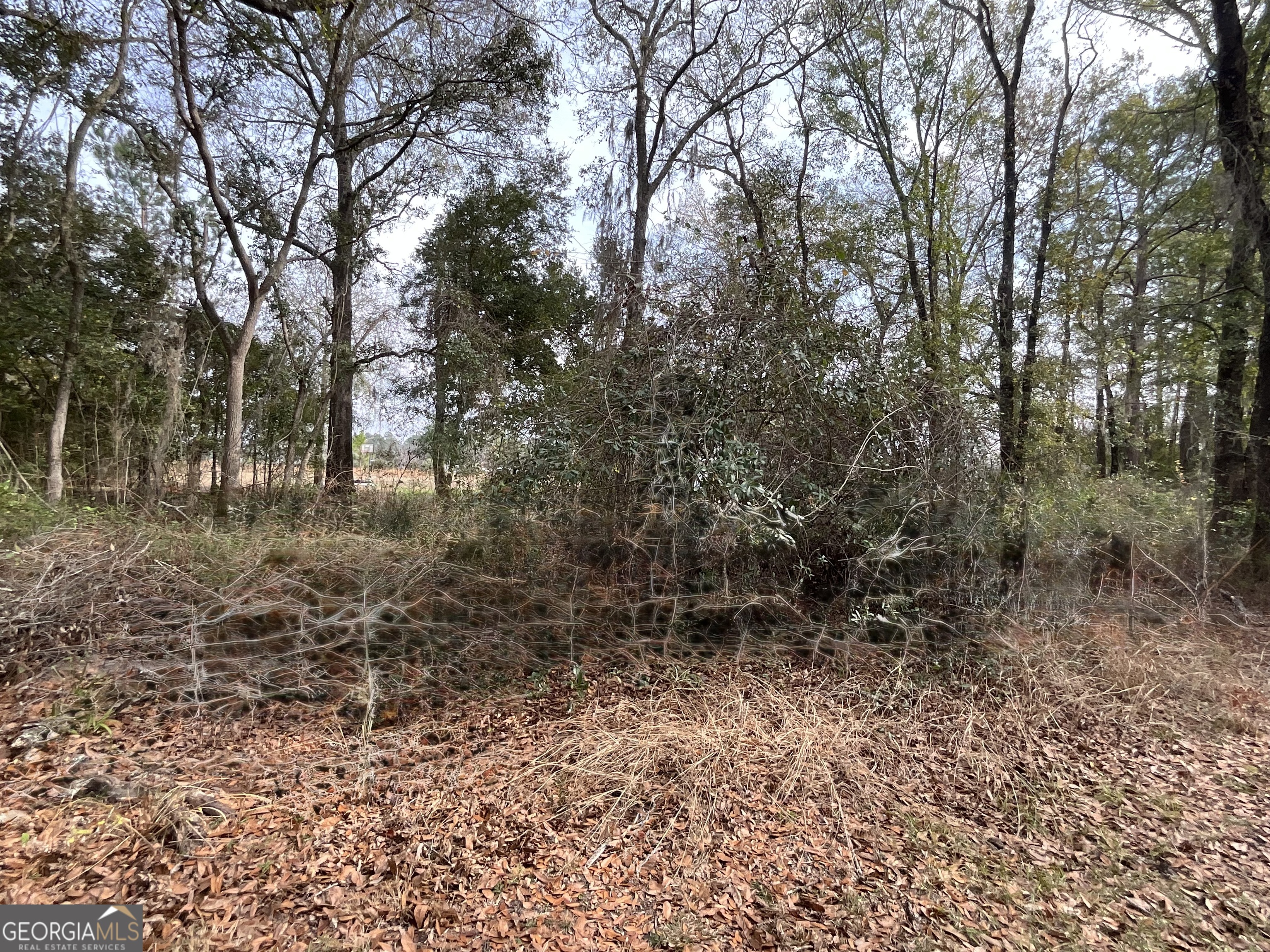 3796 Morgan Road Waycross, GA 31503 - Photo 7 of 17