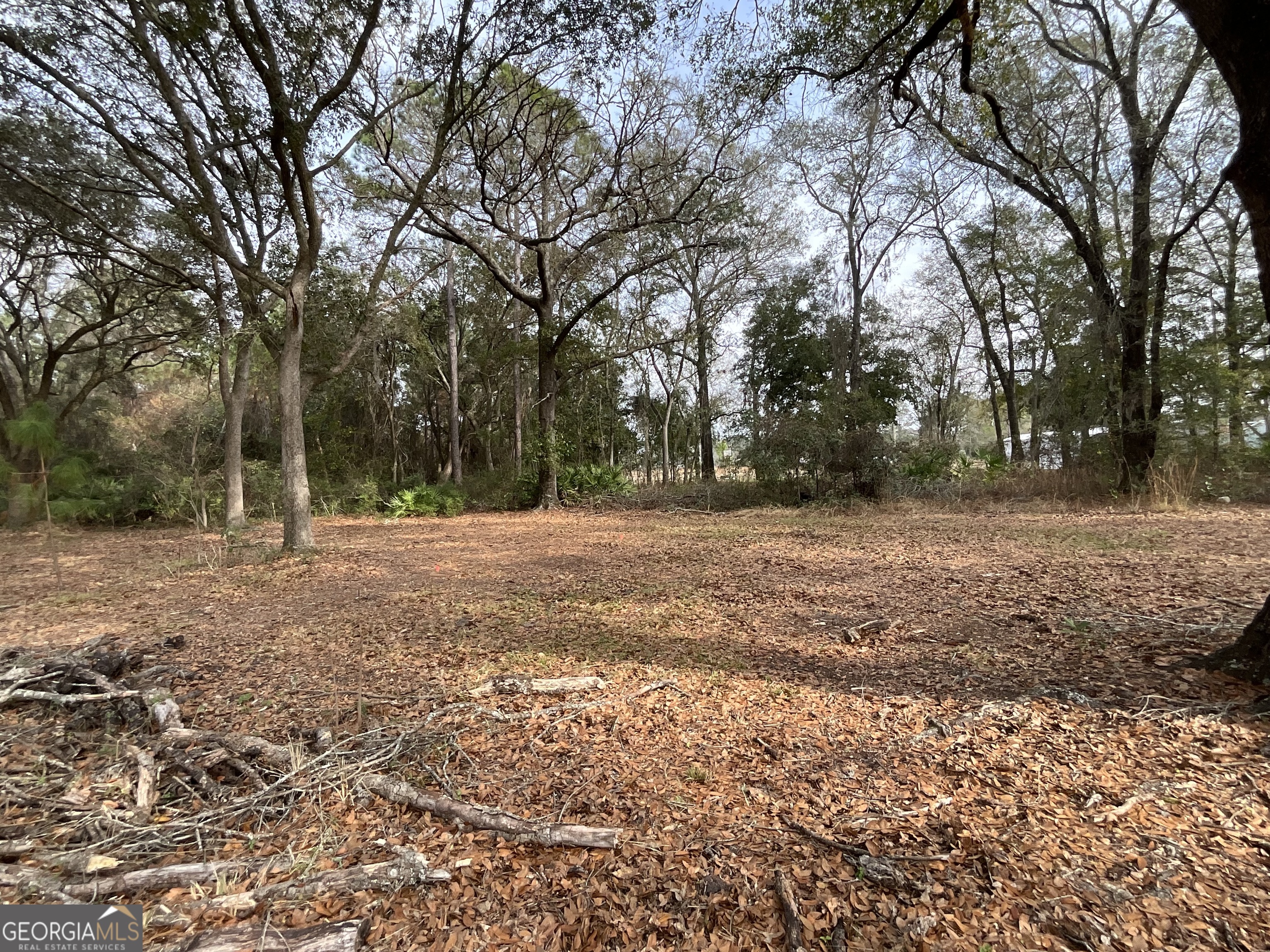 3796 Morgan Road Waycross, GA 31503 - Photo 8 of 17