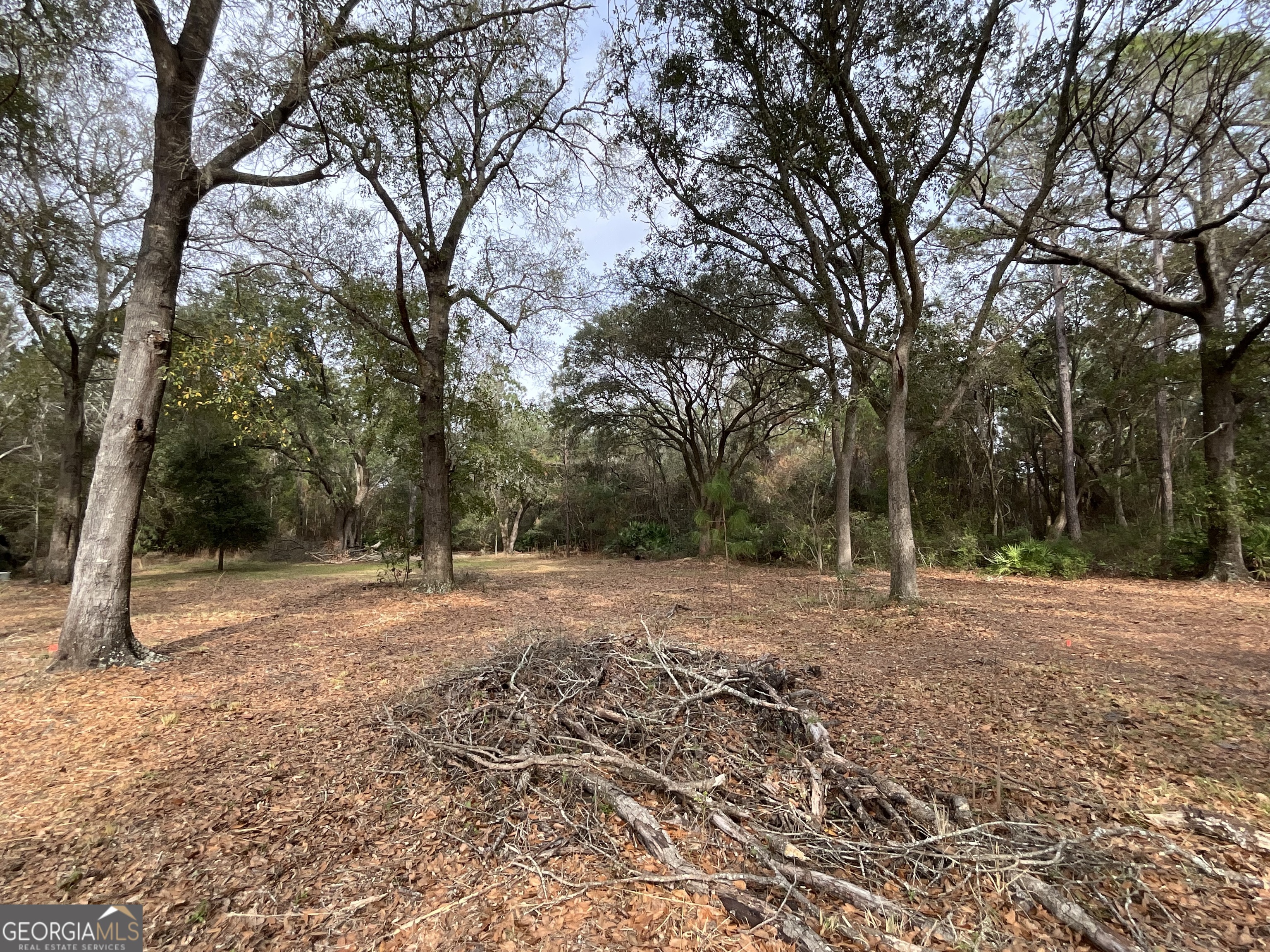 3796 Morgan Road Waycross, GA 31503 - Photo 9 of 17