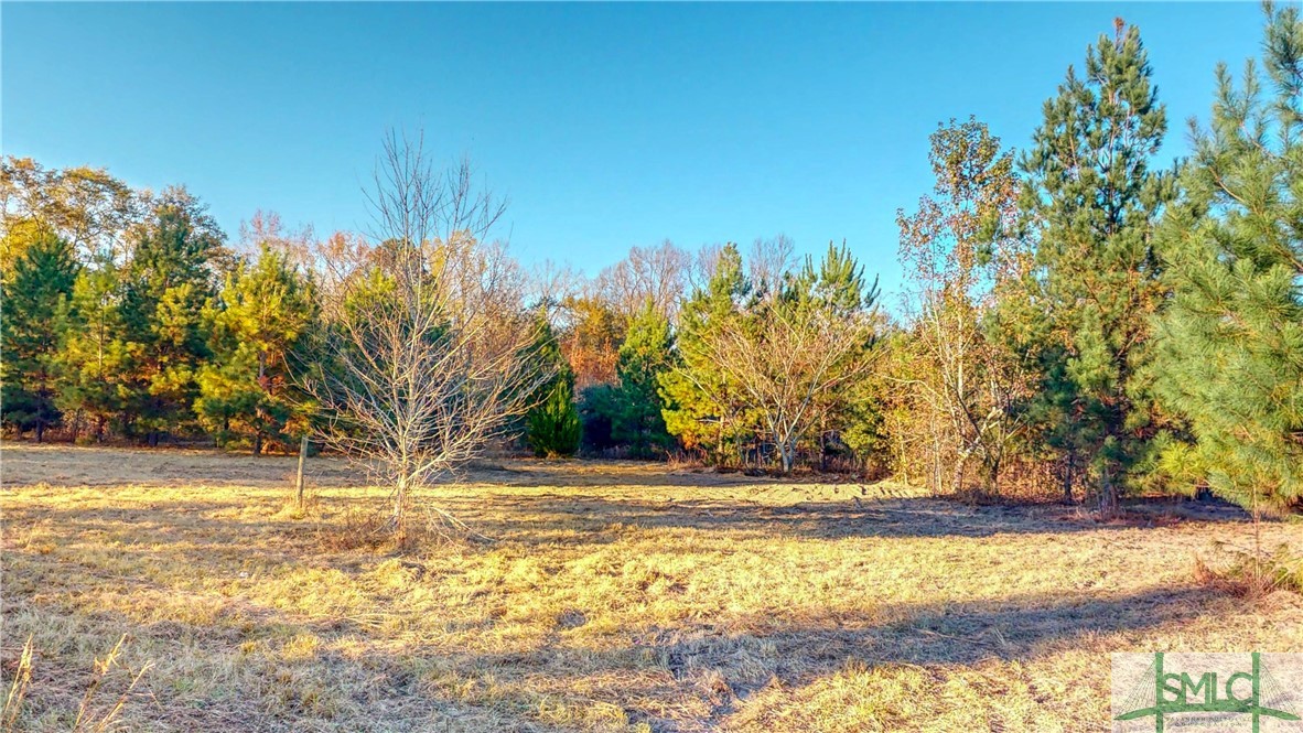 580 Bell Road Brooklet, GA 30415 - Photo 32 of 37 Gallery Image 32
