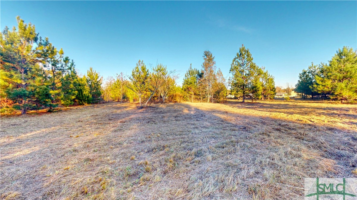 580 Bell Road Brooklet, GA 30415 - Photo 35 of 37 Gallery Image 35