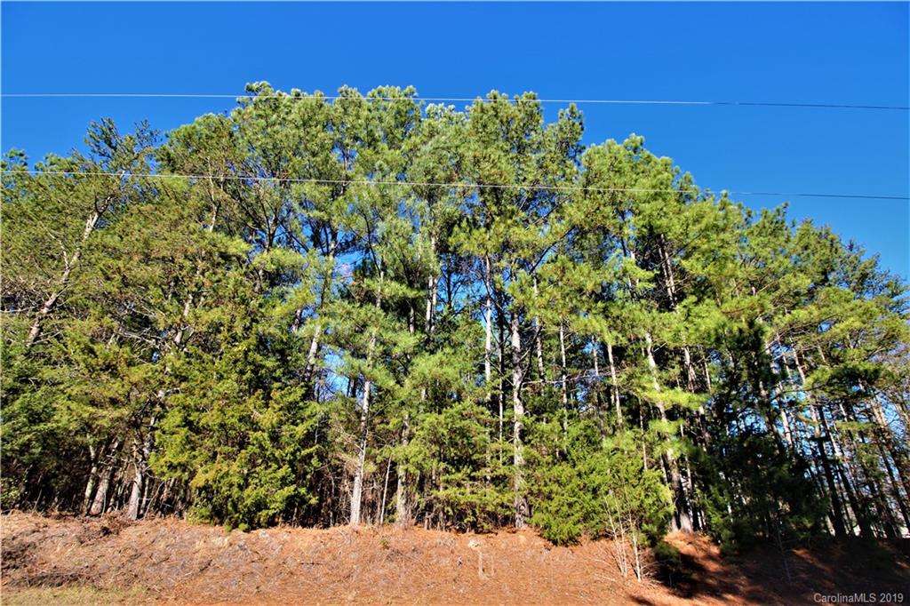 2-acres Caroline Acres Road Indian Land, SC 29707 - Photo 1 of 16